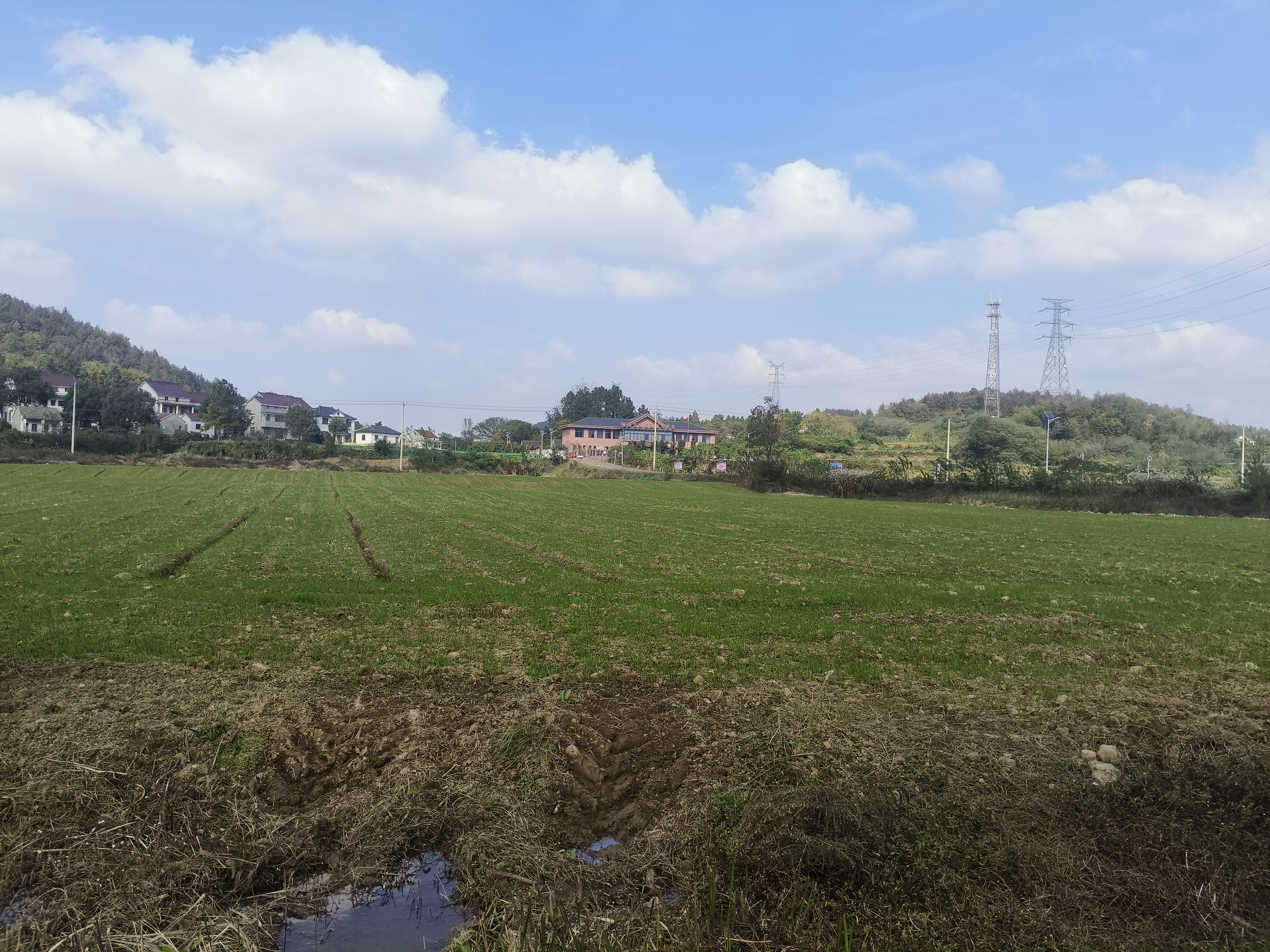 8fe474103c03c33bc48c9c6cf72cdf6c