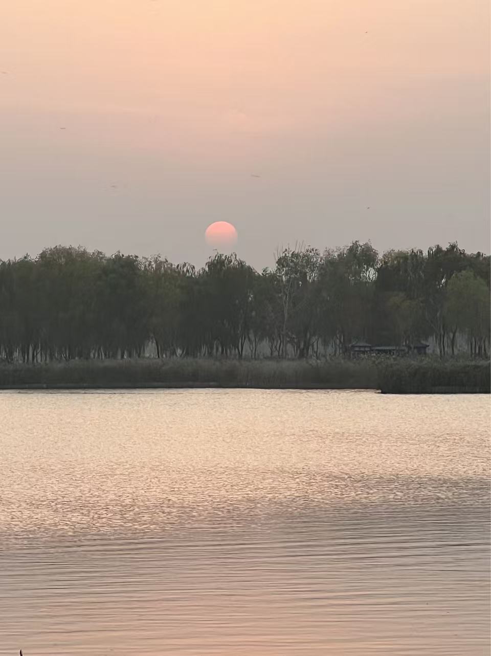 微信图片_20251206221837_270_14