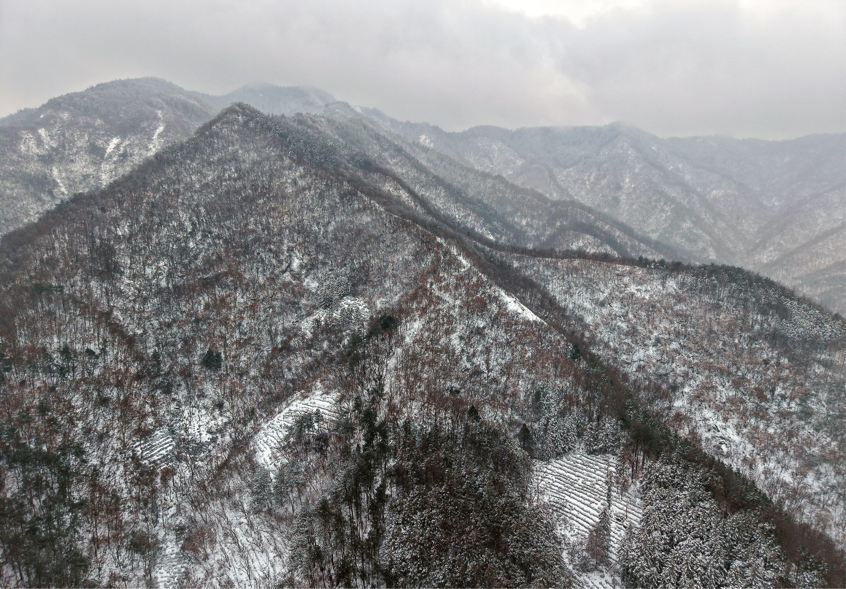 2026-01-21 09:51:52.604000