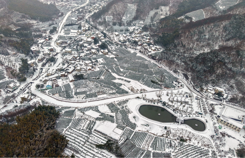 2026-01-21 09:51:52.288000