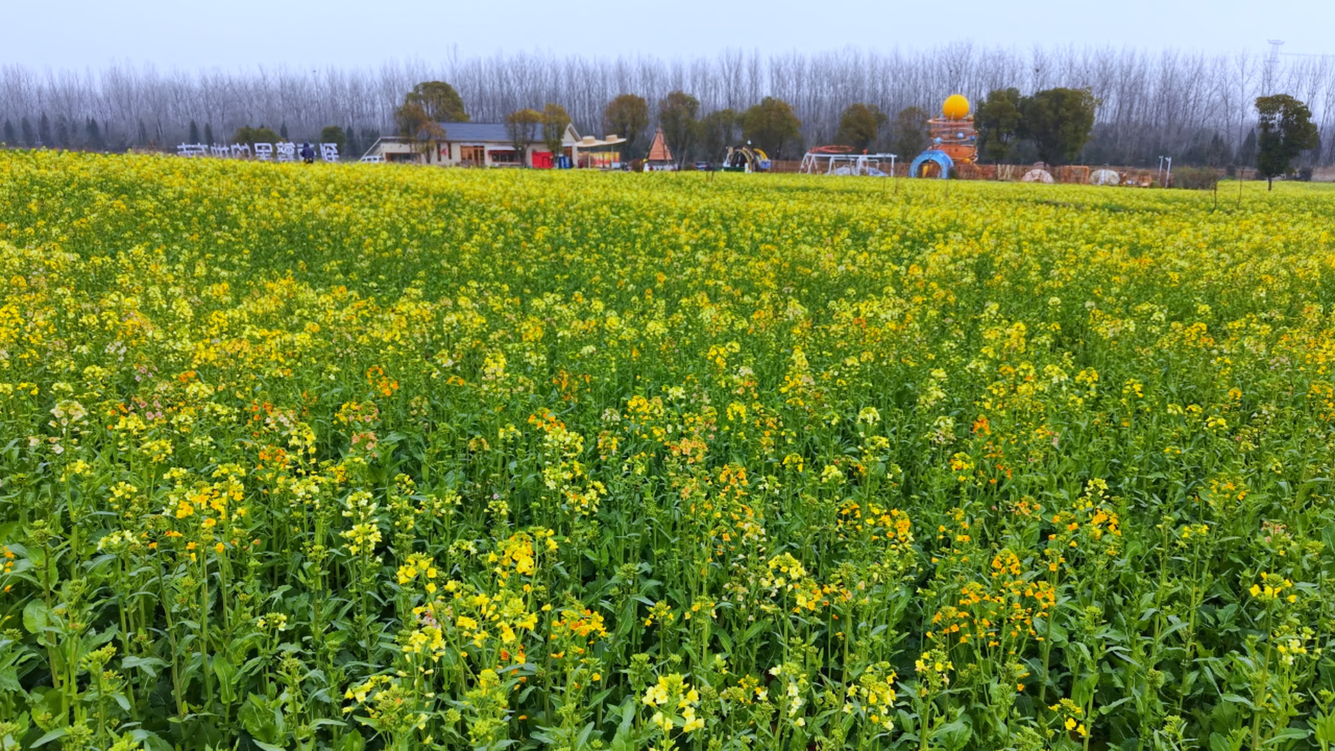 d8b4134bd9cca04b7708878f41e5902c