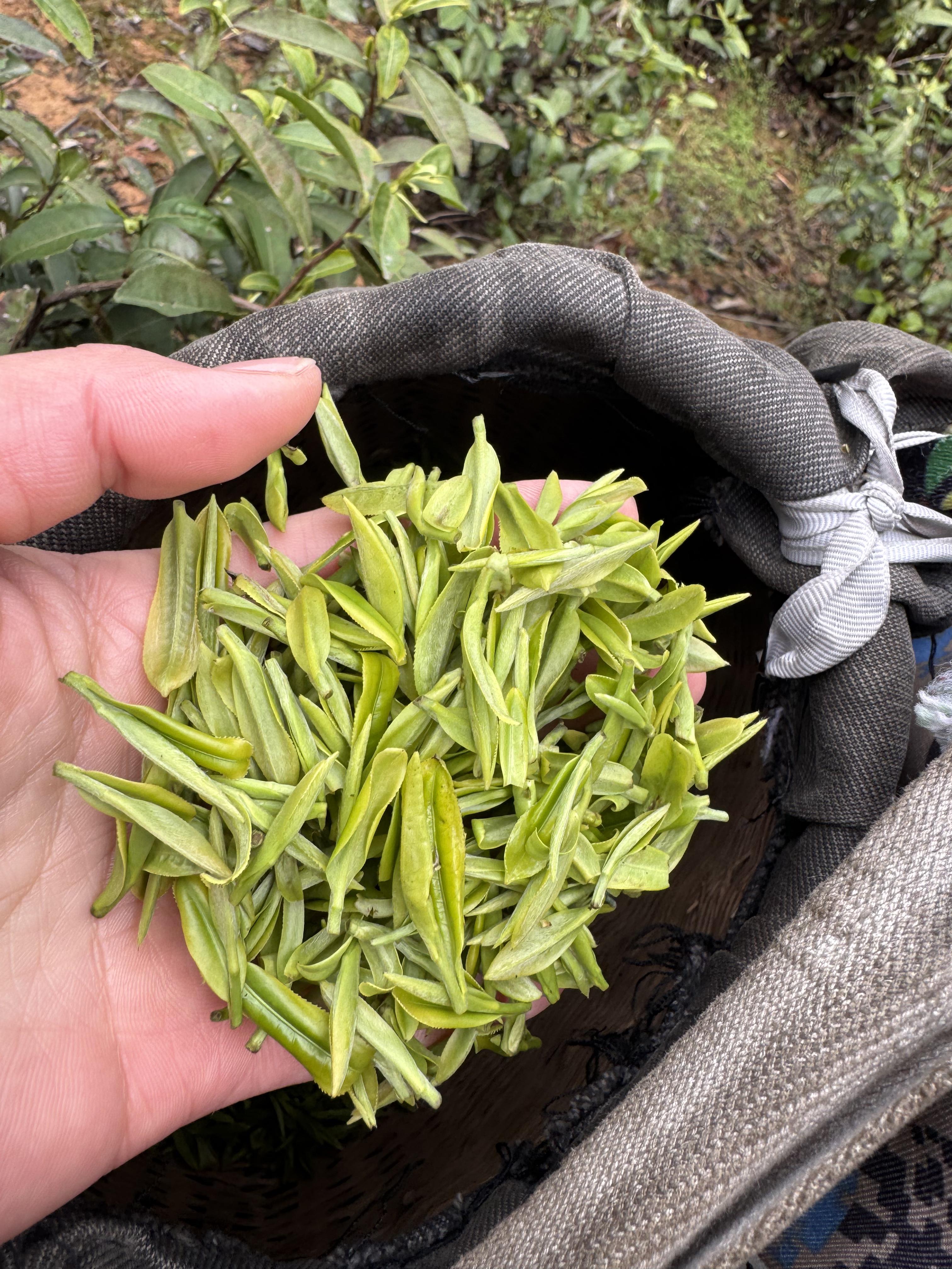 210fafaa47006b3c53a6f3688172b14b