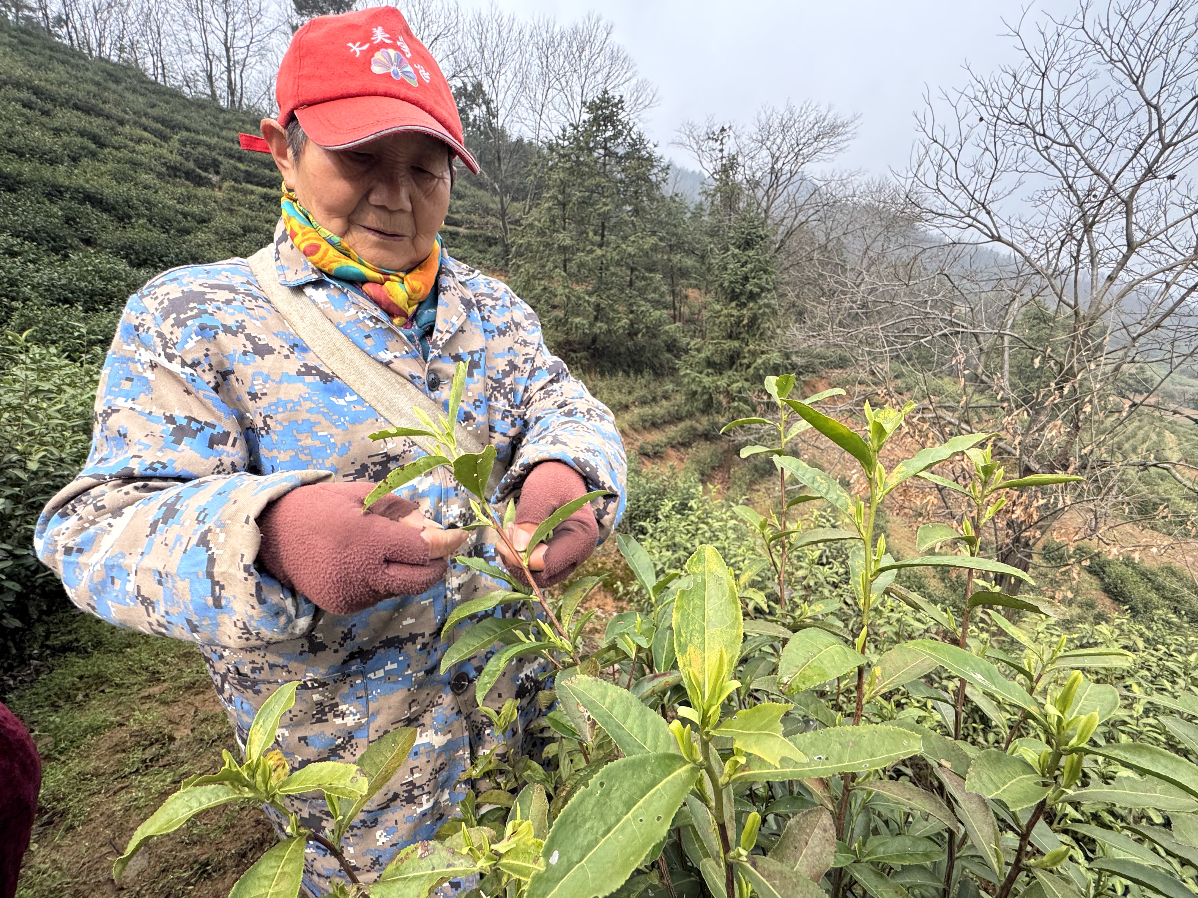 c5401e75e0ffad3e26ea829b7b8bd853