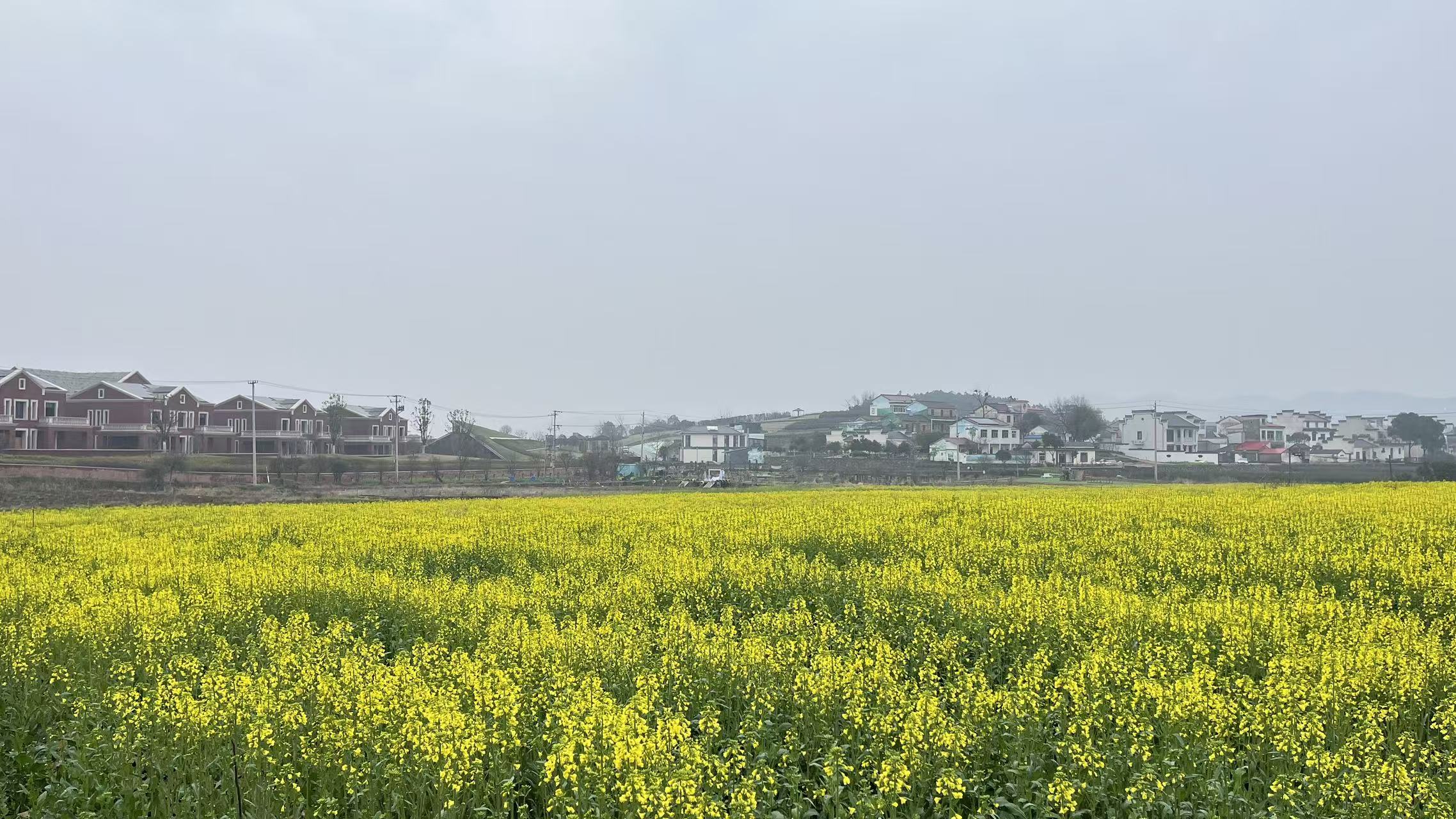 716cfe9262d6d02e54c847947487b468