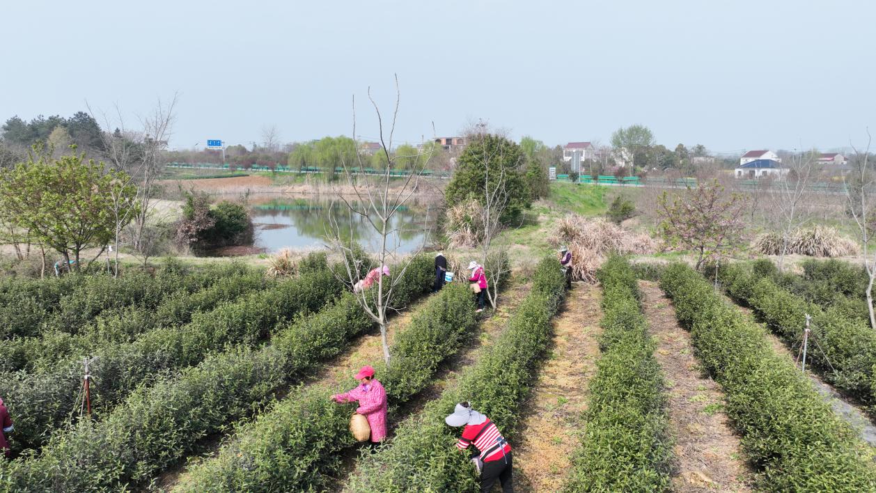 ad209a39a9b2d770be707843929037e6