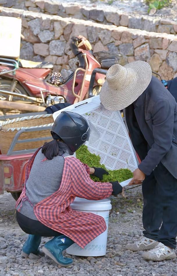 4dd3c295f21d5bbc12eb72c391687755