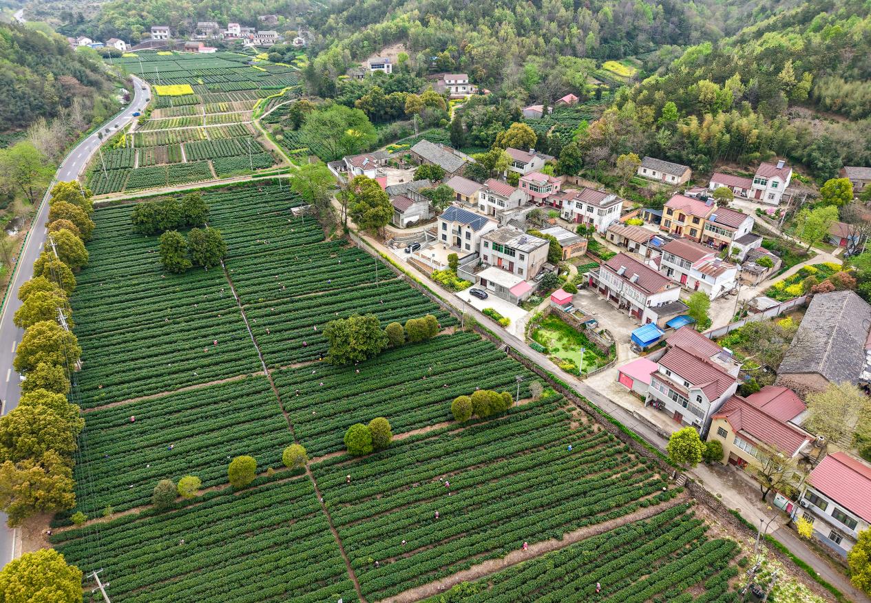 DJI_20260404160101_0250_D