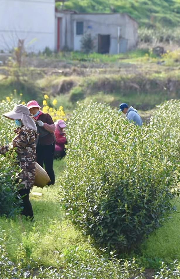 d07a3f1eb02eebd86d3d45b24aca7a24