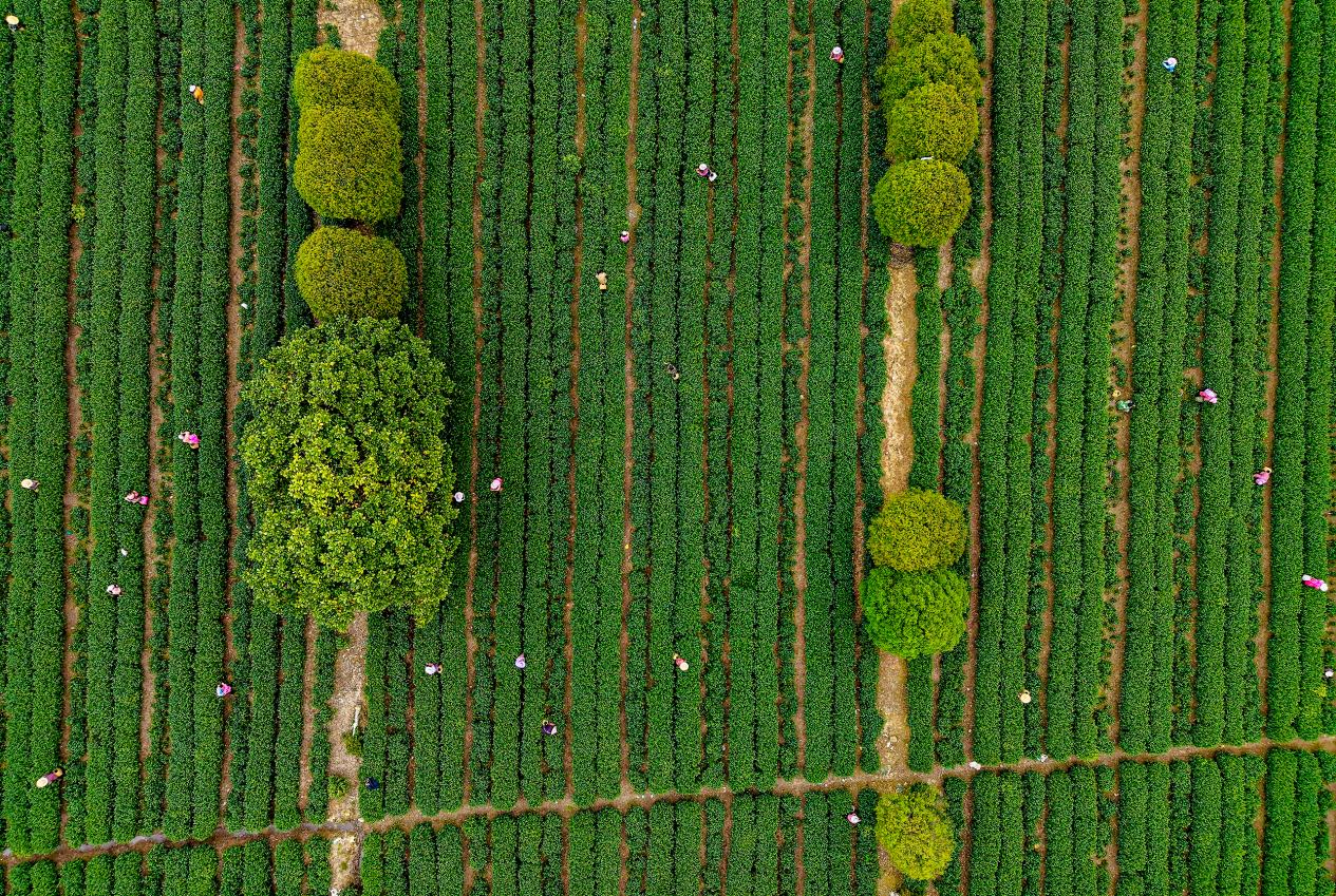 DJI_20260404155812_0240_D