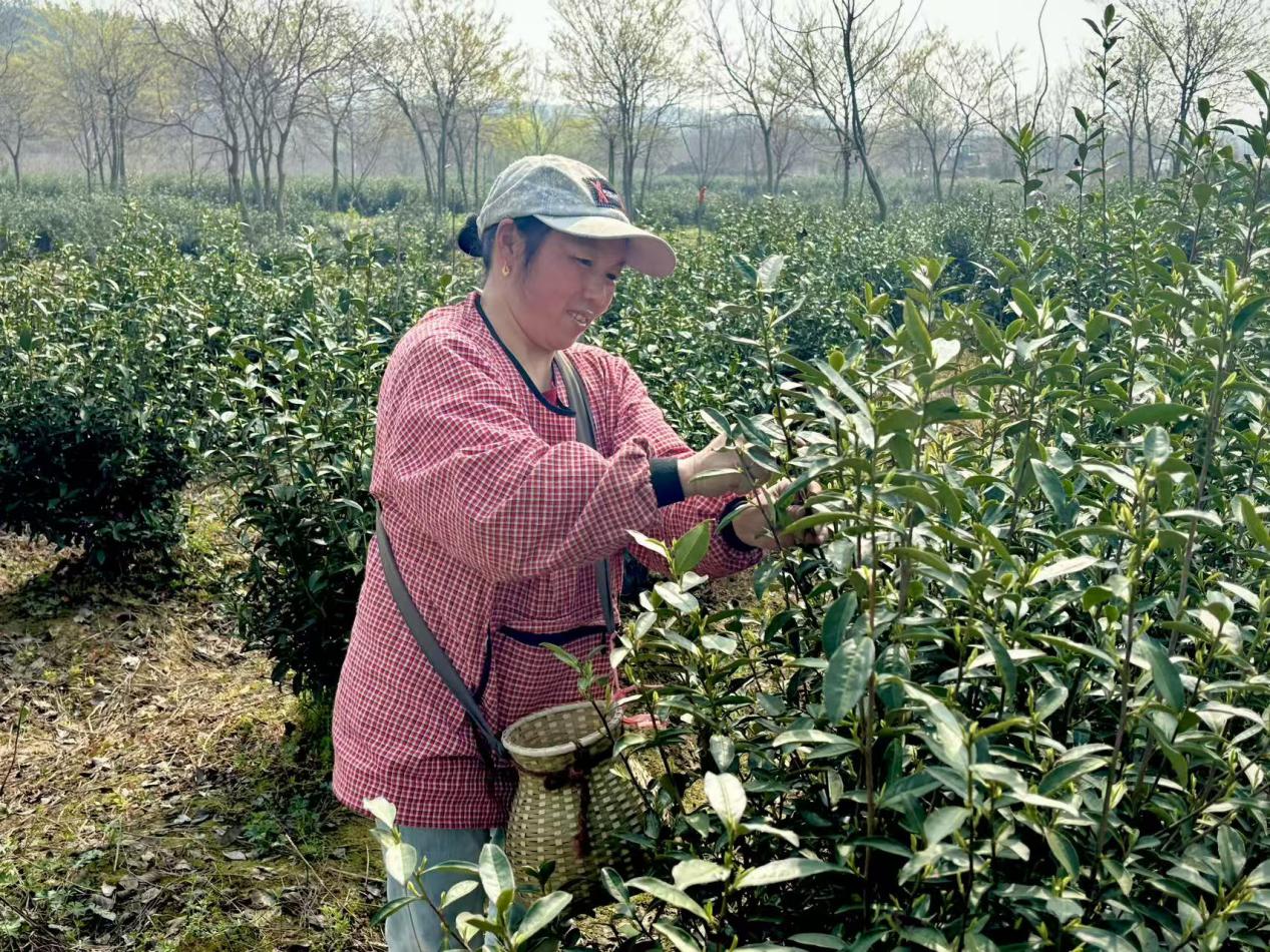 88e8caaae3aa7c88b69278a54a7adac9