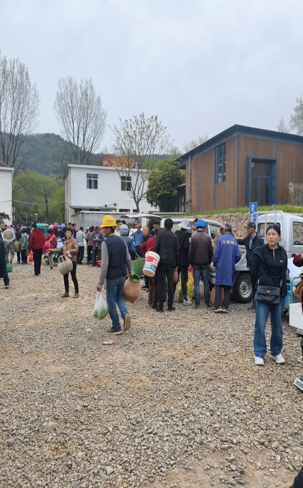 ac28f1d6dbff0719919b95417f8f55e6