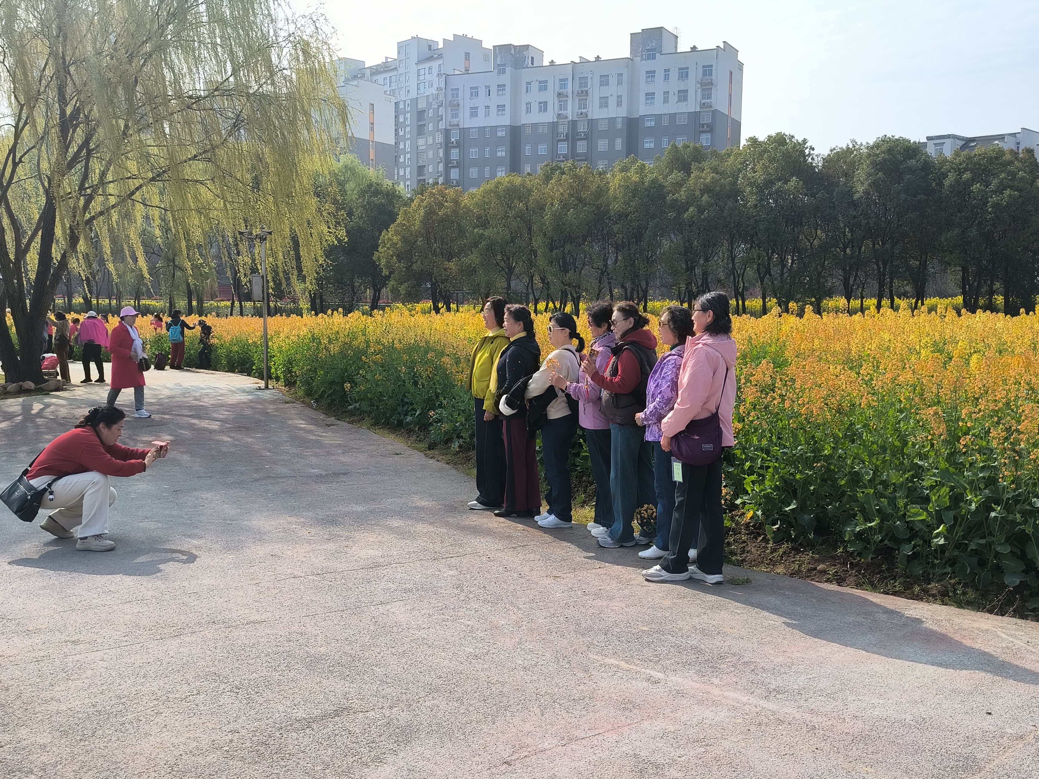 微信图片_20260403084034_309_6