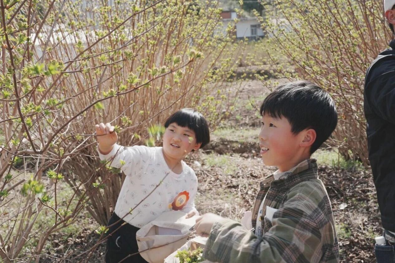 微信图片_2026-04-03_144756_600