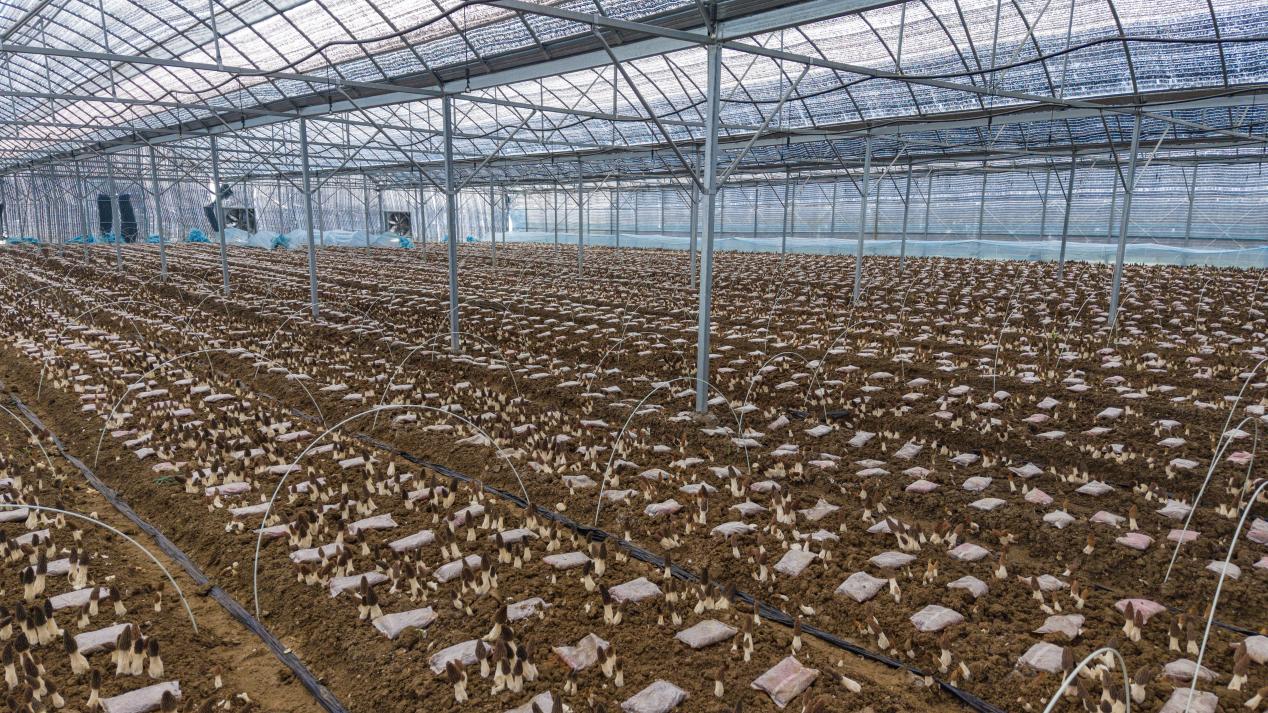 5dbc922b7b1c06513fd309f963c32c7c