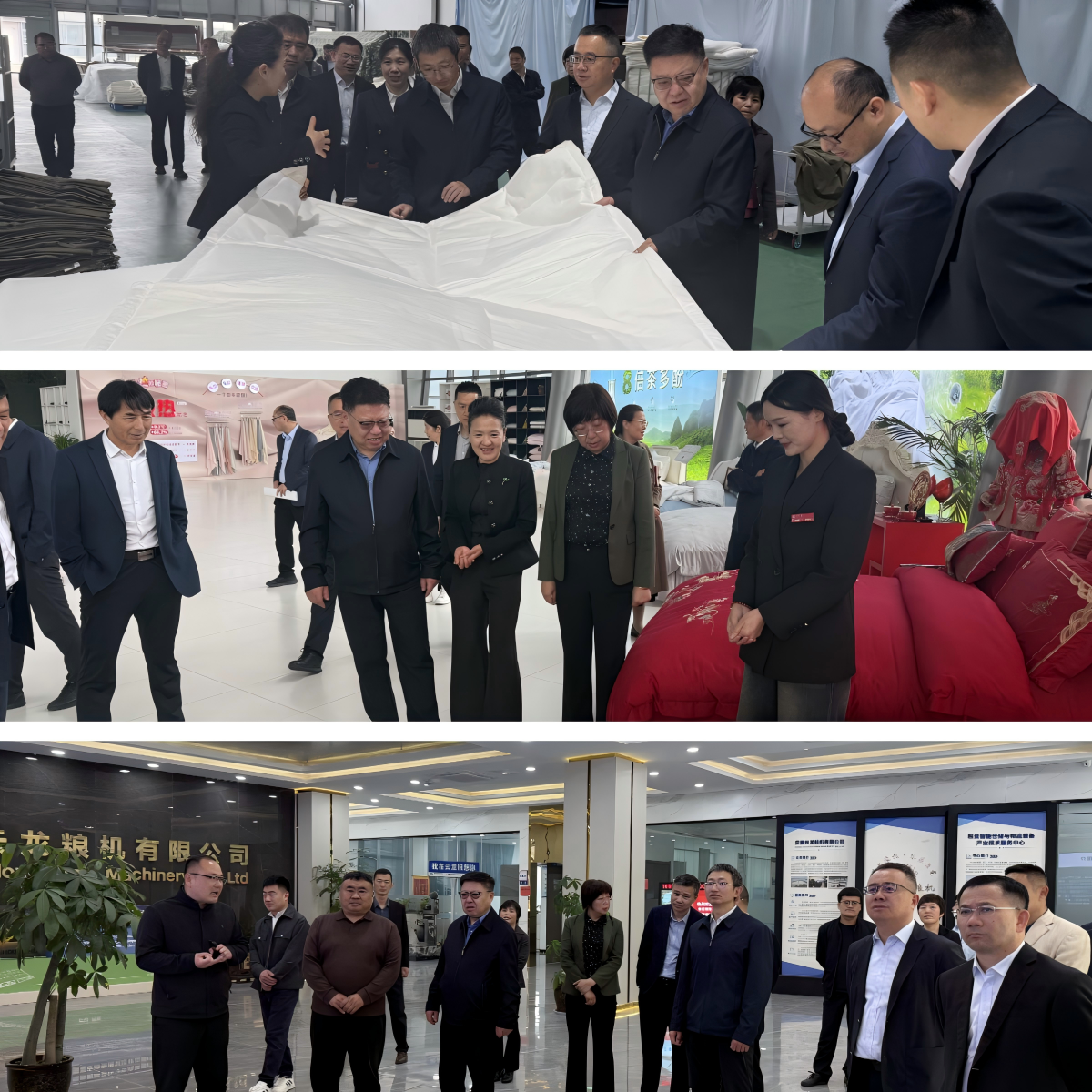 界首领导走访拼图