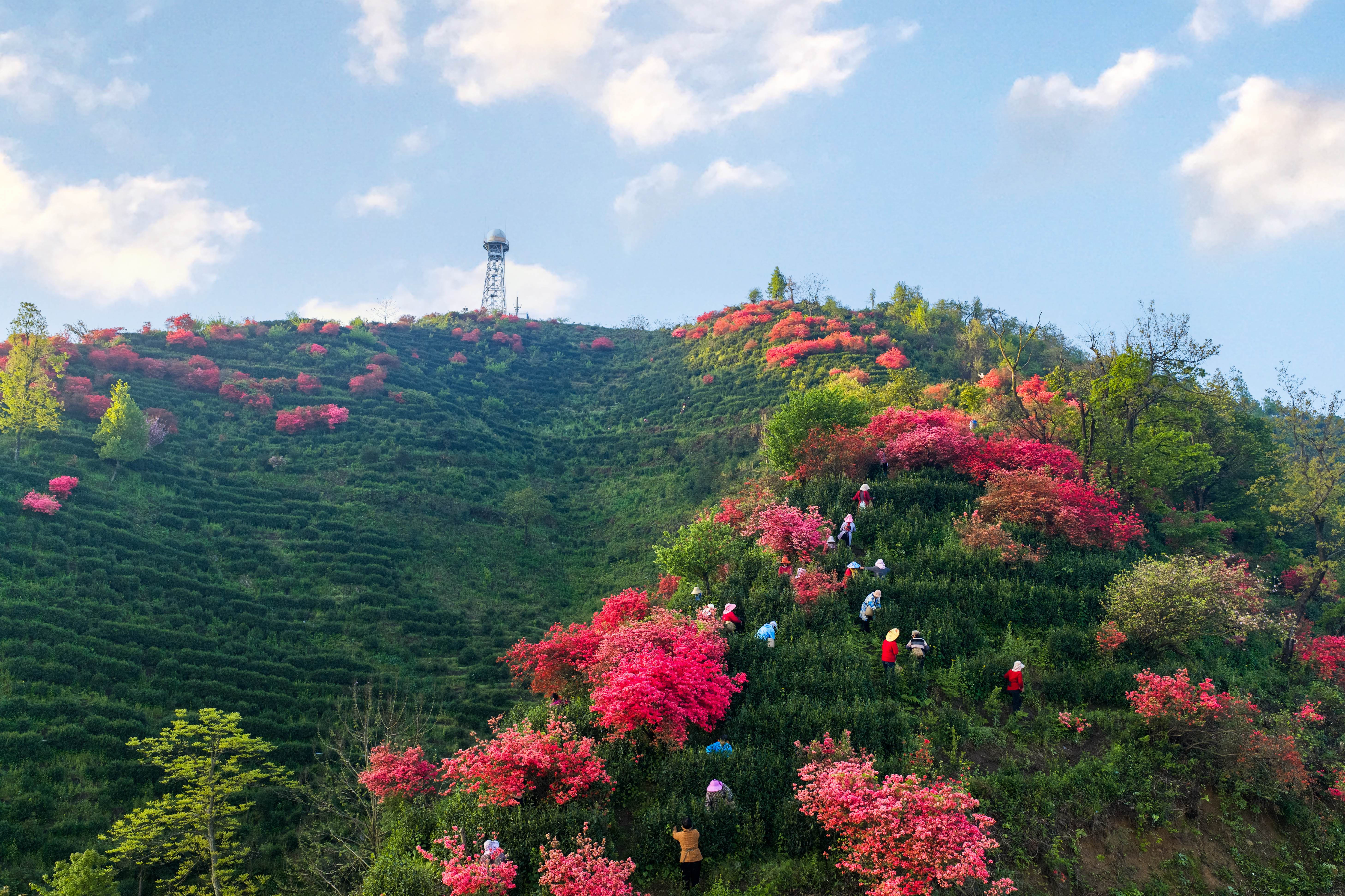 c928279ee421acd4fb126aabae77aee8