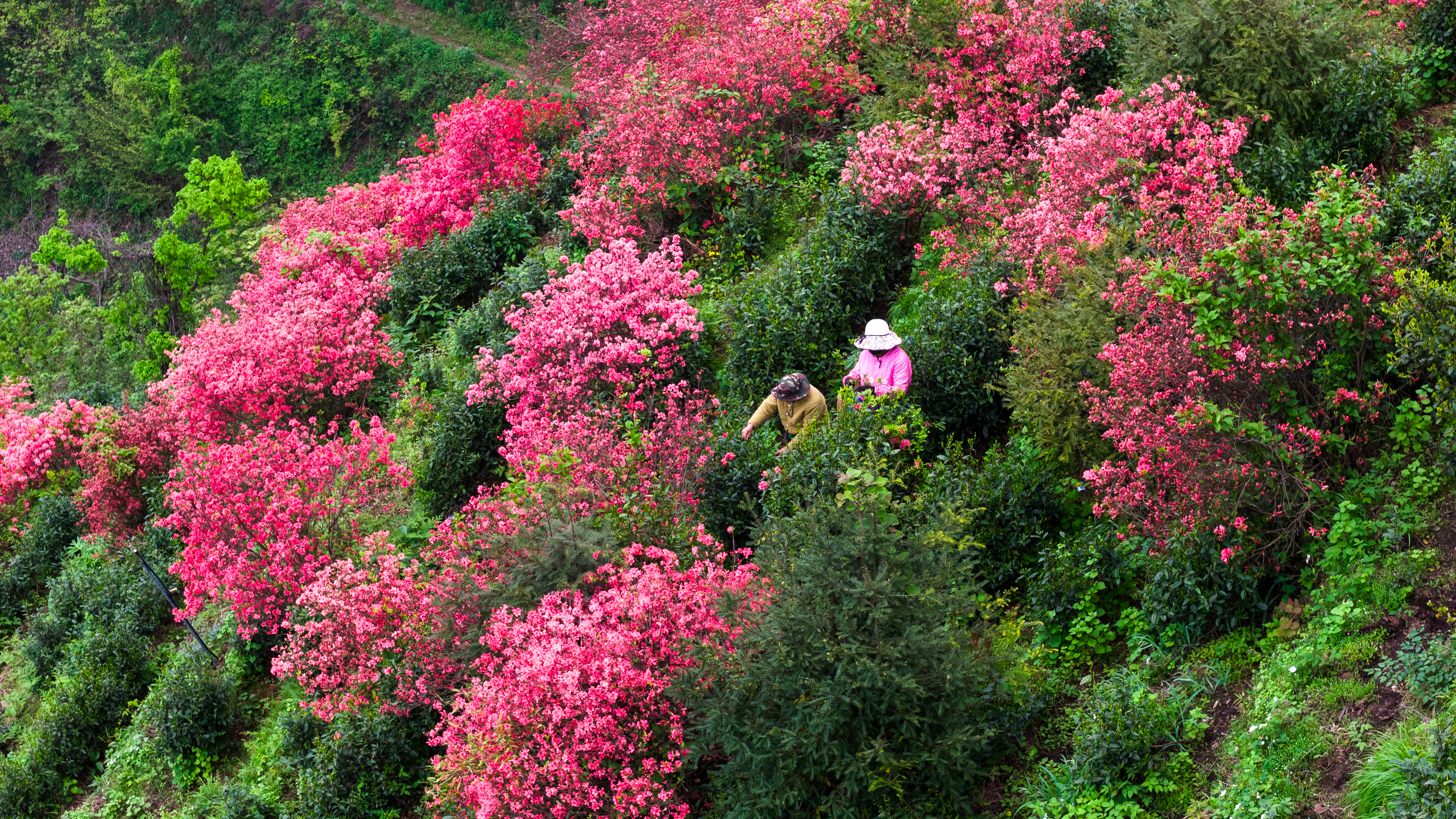 06f47660e7233b9c78e0e293fa1cfd29