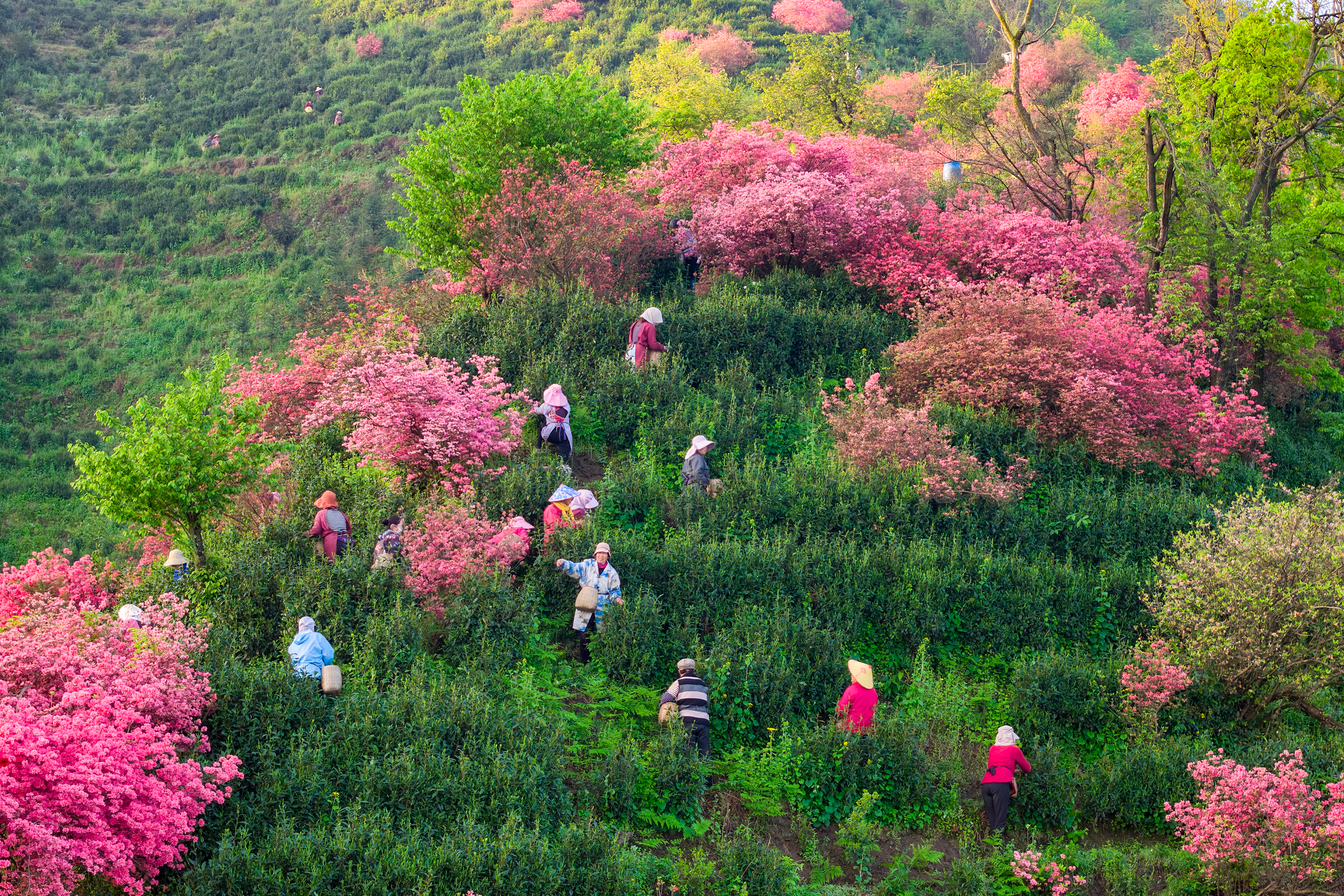 d9393c0b7de972ecfd34da821cb5bd32