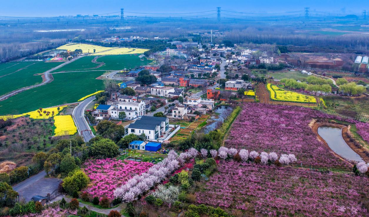 三十岗乡崔岗村春景  王牌 摄