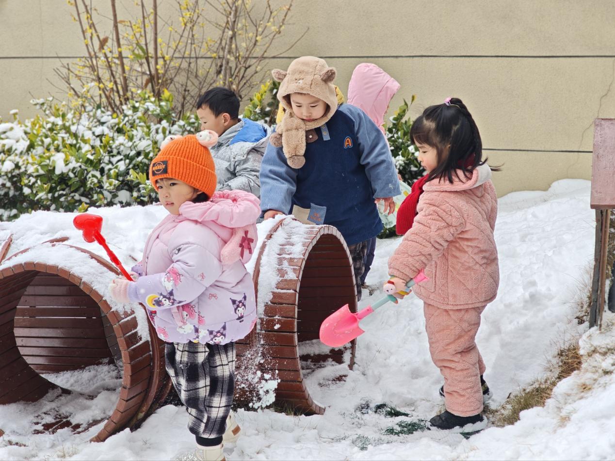 微信图片_202601201534512