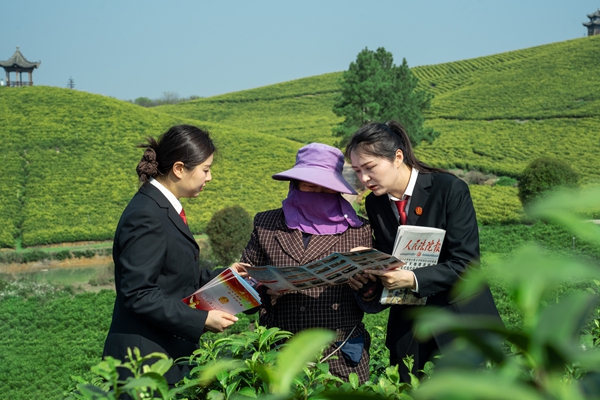 茶山普法1_副本