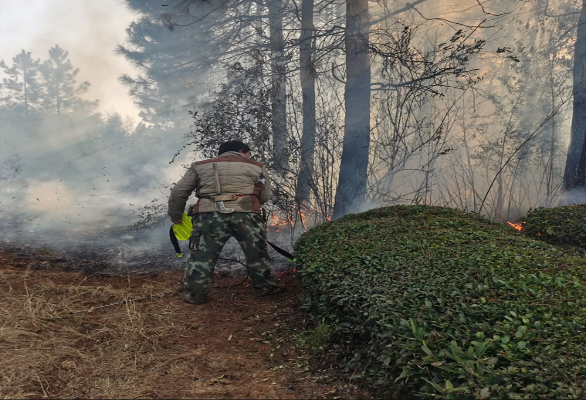 2fcff524b974670f44fe1093e8d0a98