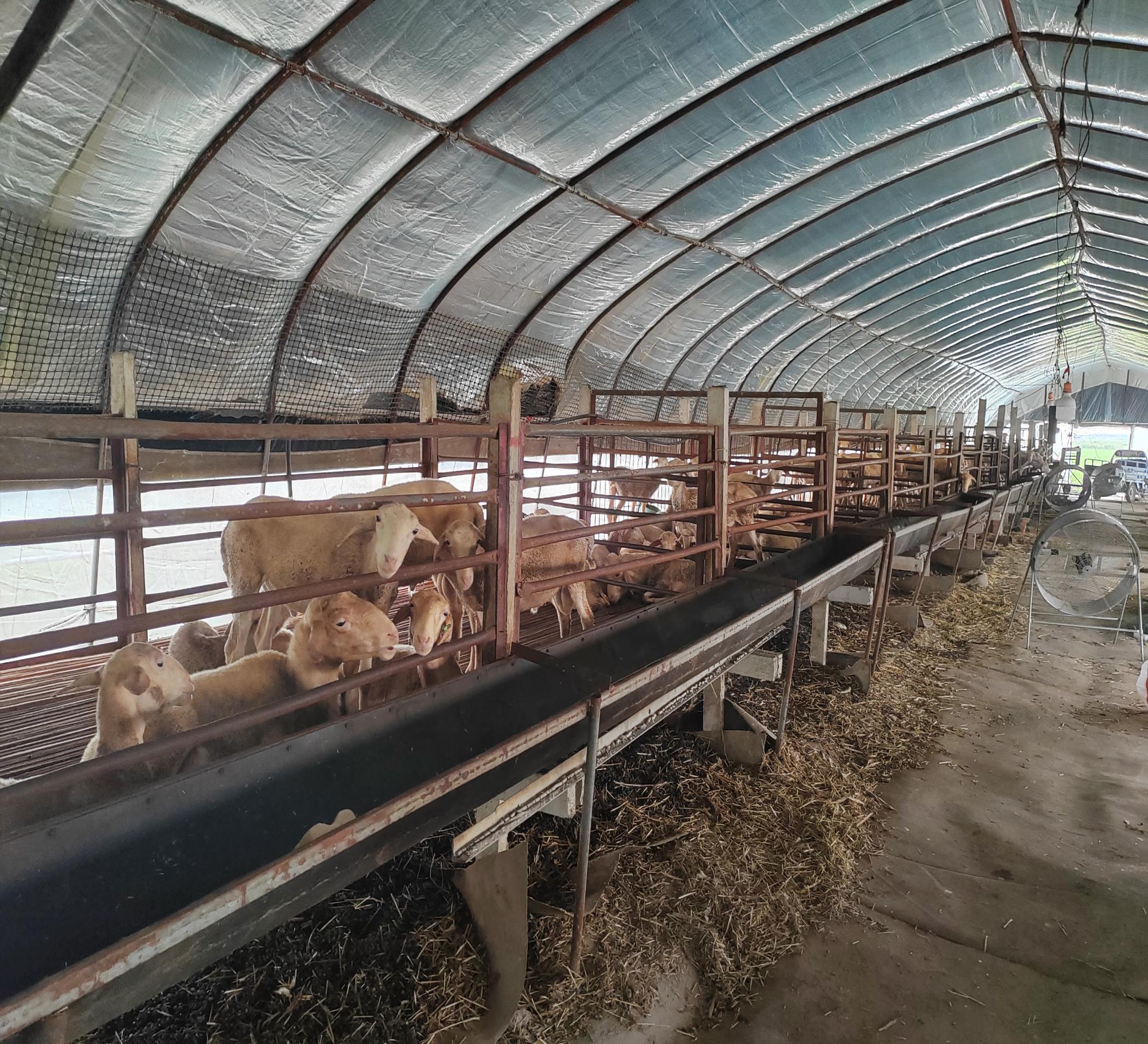 0d2fd925077a66e5c955f3d72df8a7d