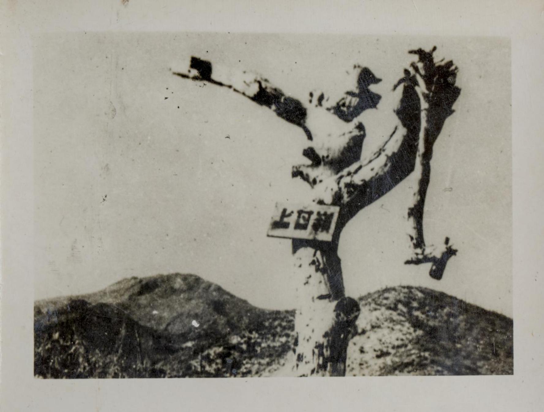 1953年抗美援朝战争胜利后上甘岭阵地照片