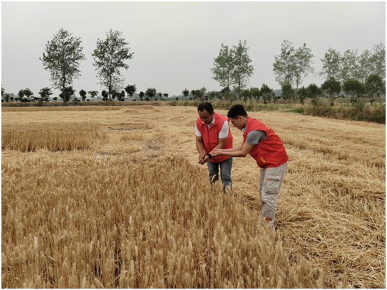 C:\Users\Administrator\Documents\WeChat Files\wangyanrumm\FileStorage\Temp\1718614050788.jpg