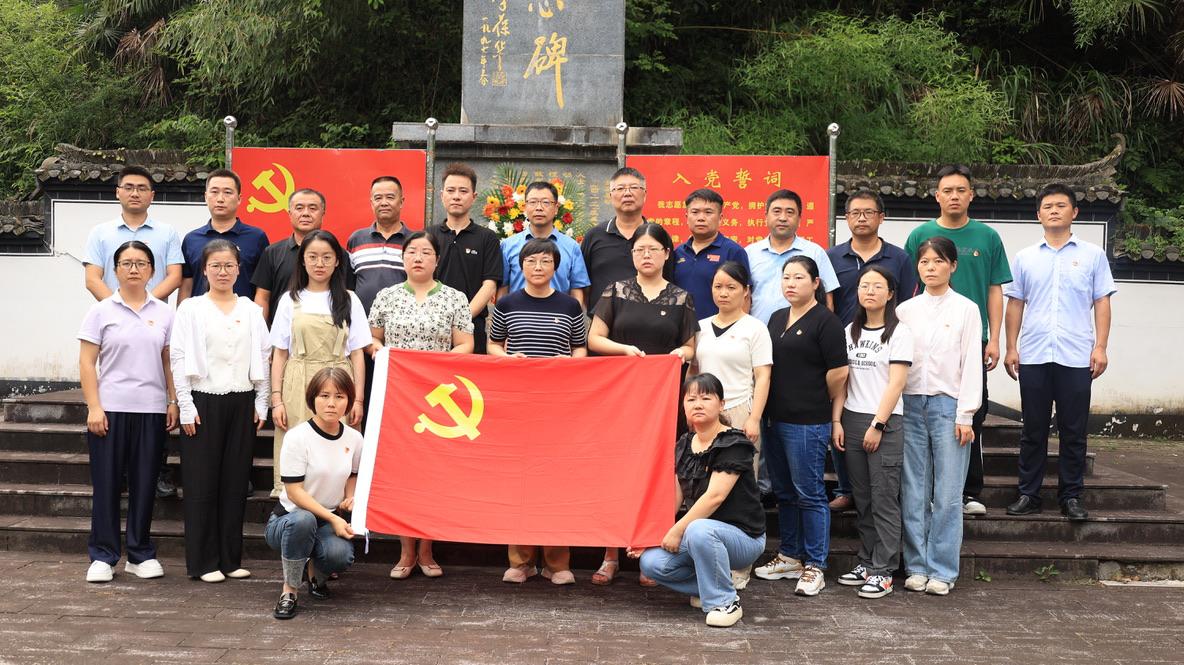 07在仕川农民暴动纪念碑下进行党史活动（安徽师范大学 王莲婷 提供） (2)