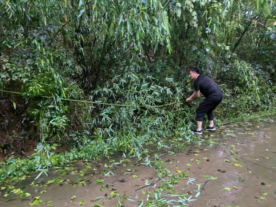 00E33757@A067E54A.C8BFDF66