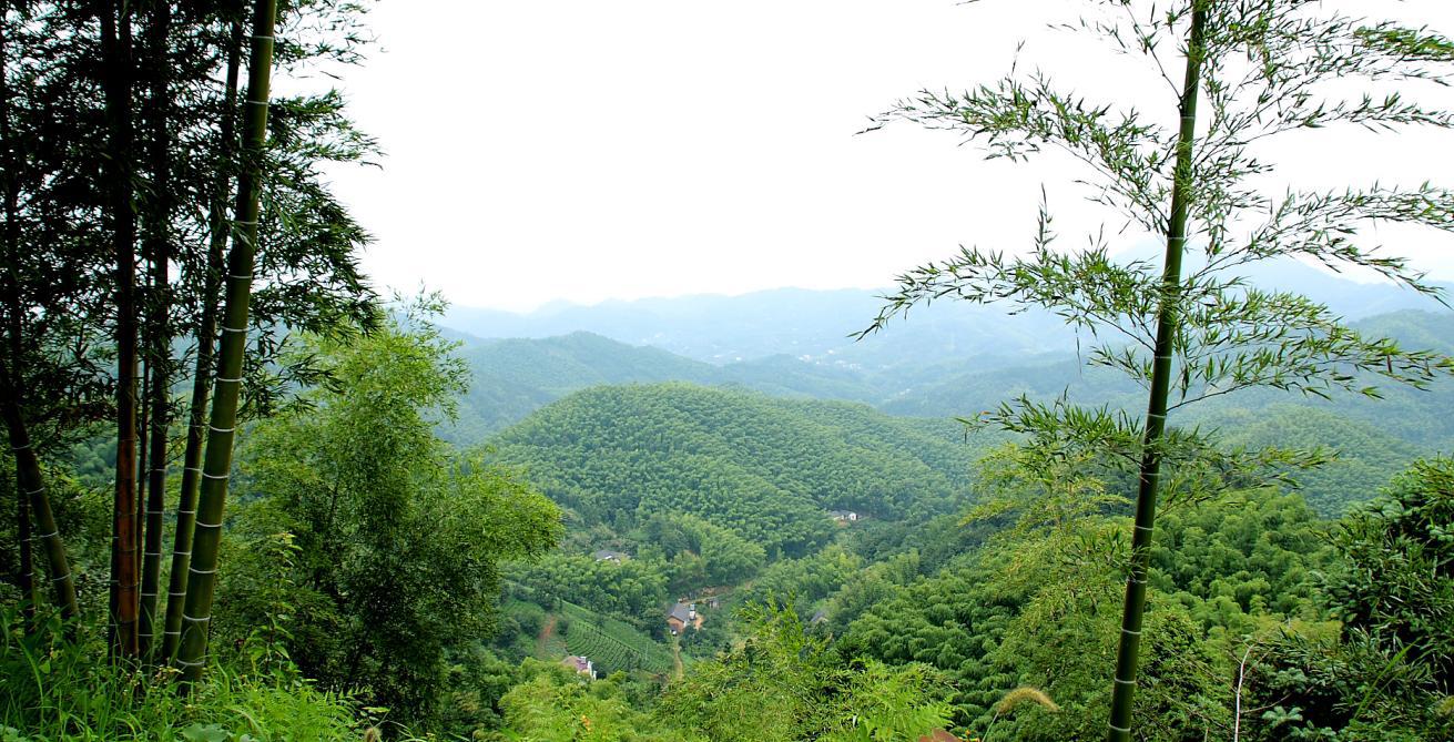 竹海人家+霍山县佛子岭镇大林村+孙仲+13956148806+安徽省霍山县民政局IMG_1300