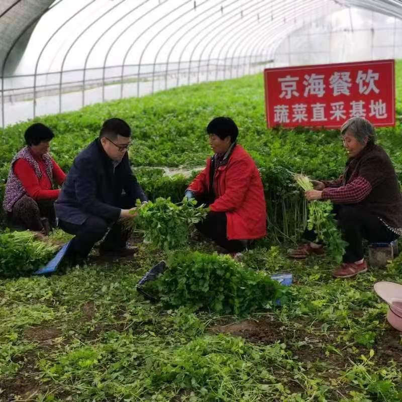 C:\Users\Administrator\Documents\WeChat Files\wangyanrumm\FileStorage\Temp\b4fe89f266e155e6ec74102b3bff396.jpg