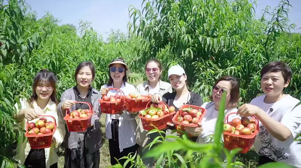 微信图片_20250107105139