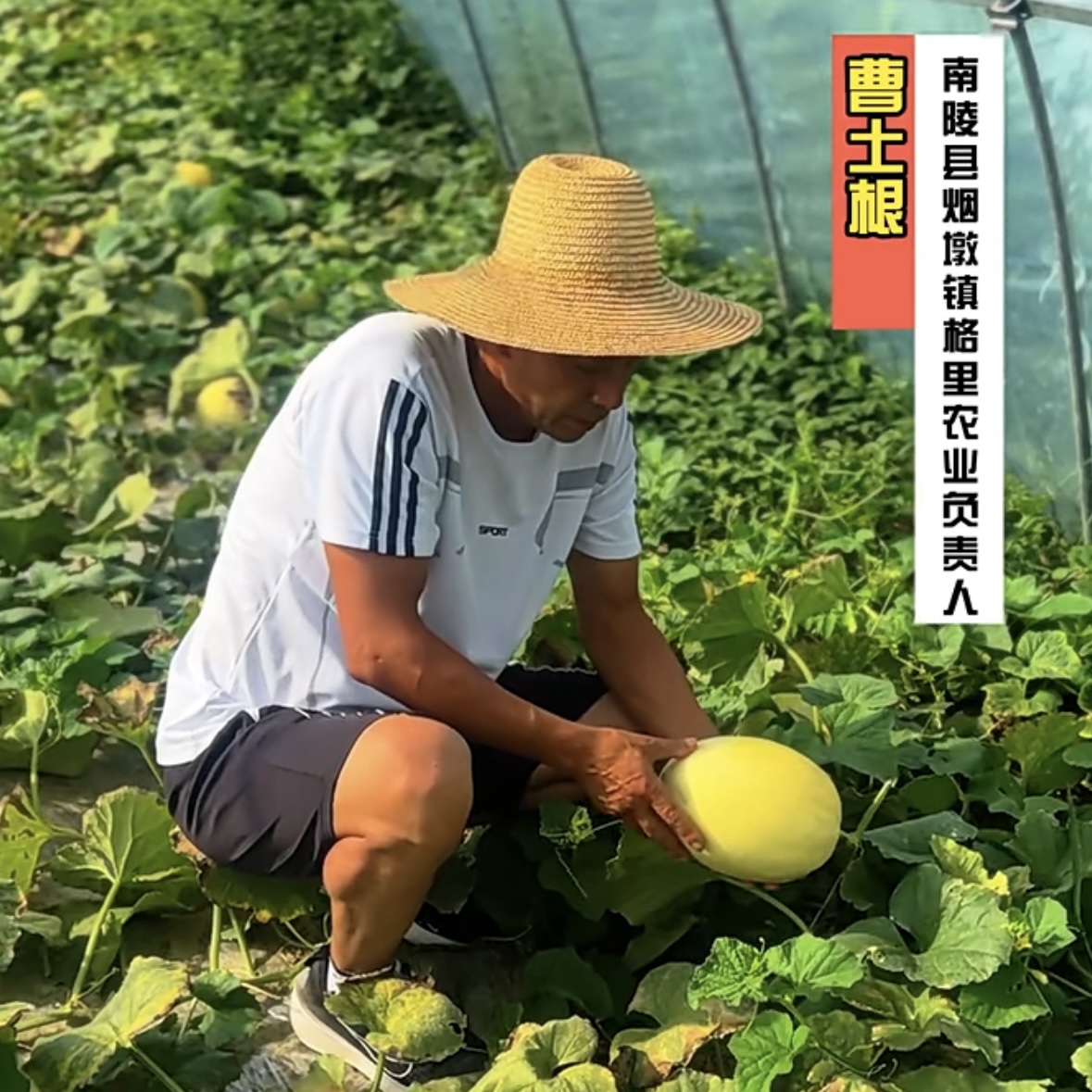 微信图片_20250107104536