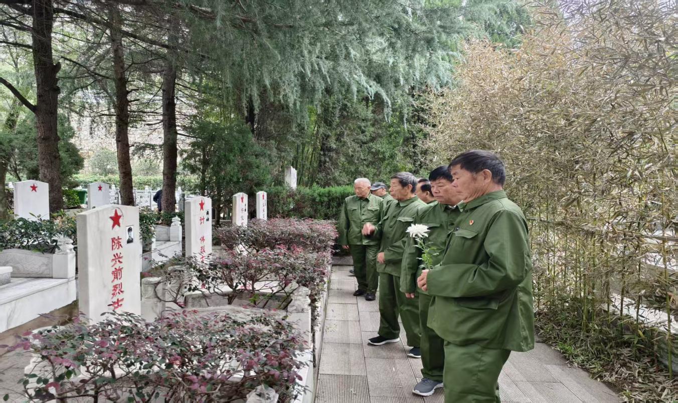 2b455be39eb48d633d812beb8485044c