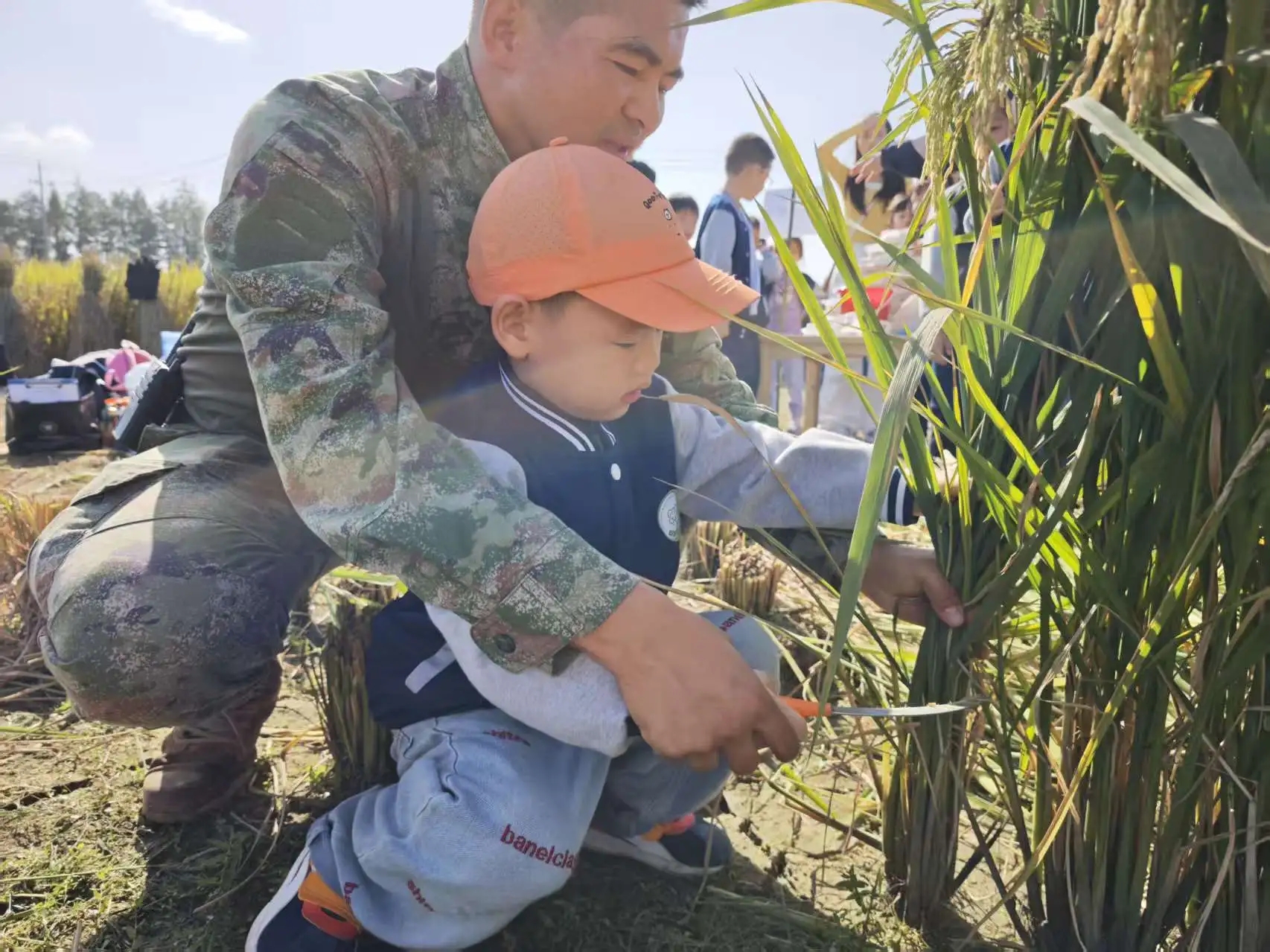 919b08a21e32aa30524ba71f5503621f