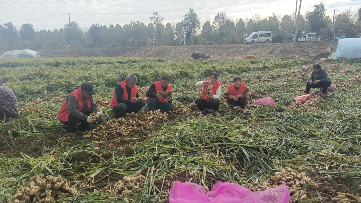 28530b35354024f64aa139cac535d3ba