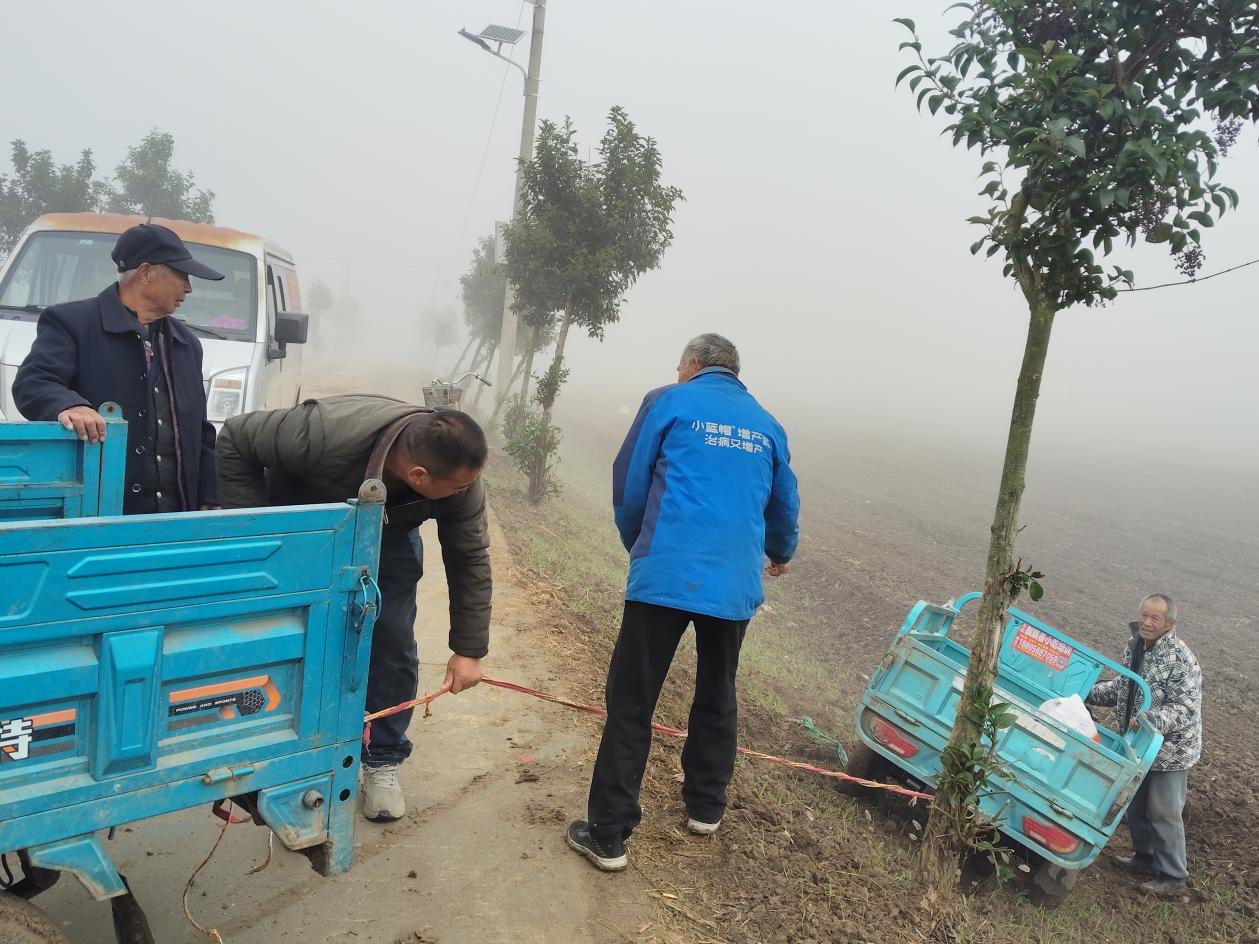 8219a9632455585176a3e58aa6e59ad