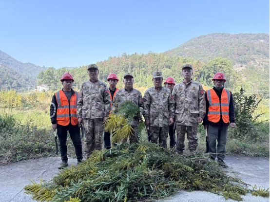 微信图片_20251119084440_94_6