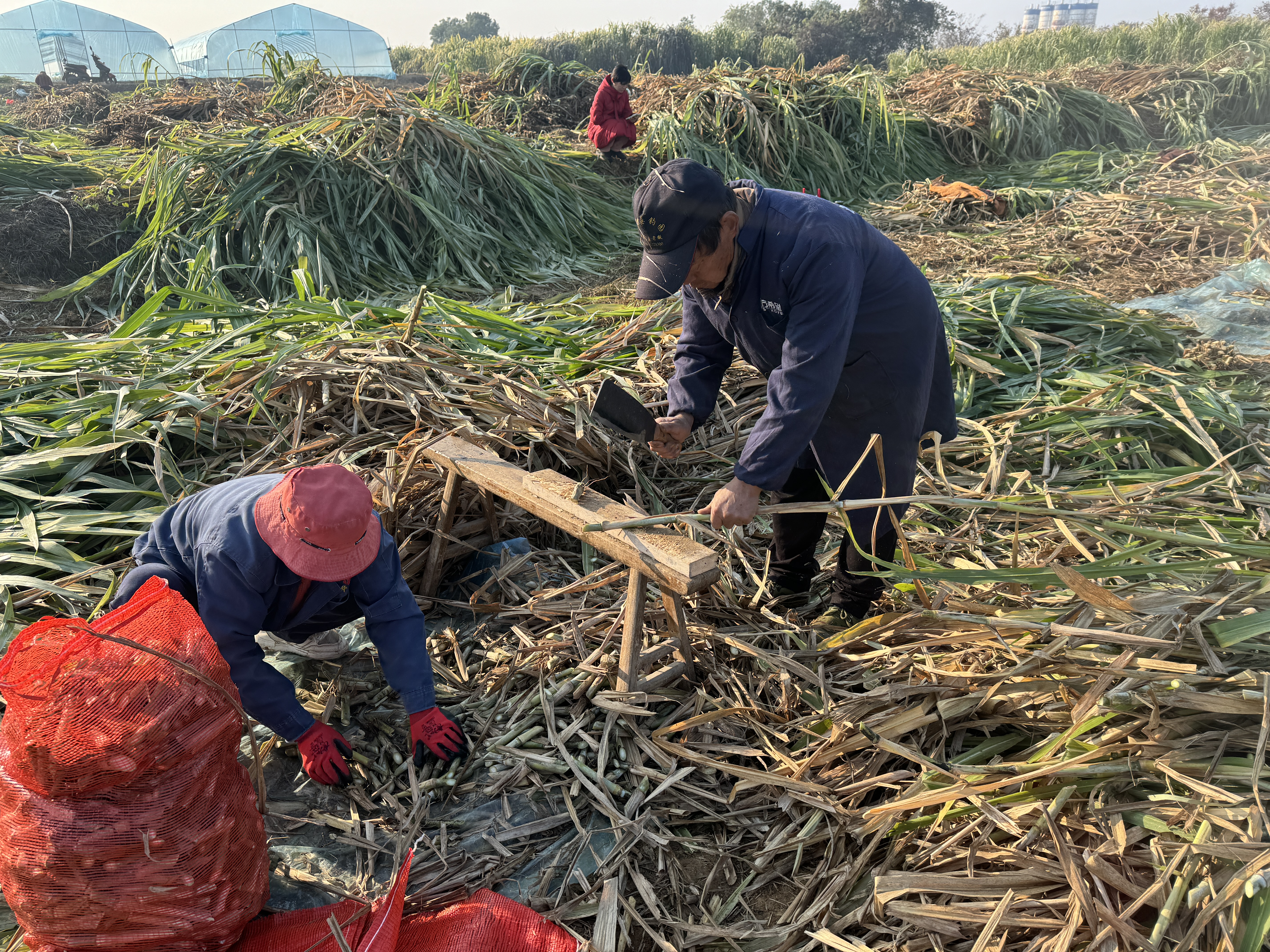 0c477e07e640bdd2947fd8274d628f02