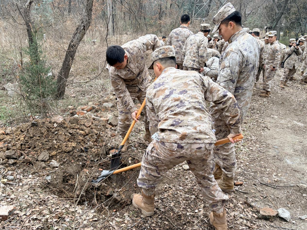 d2b87ba322defa580dcf8a6b8eb7d8bb