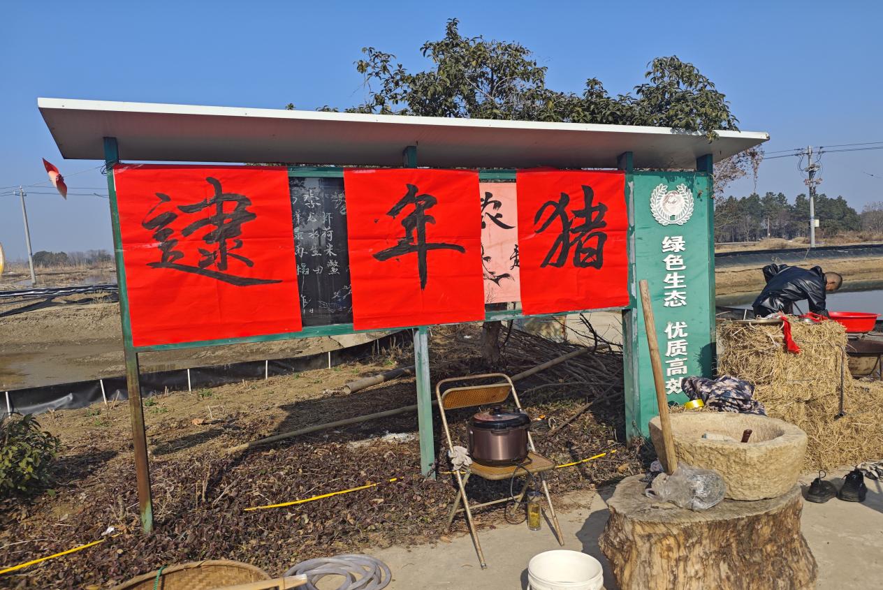 b2eb7e6211d6aaf017a79b1539dd6d89