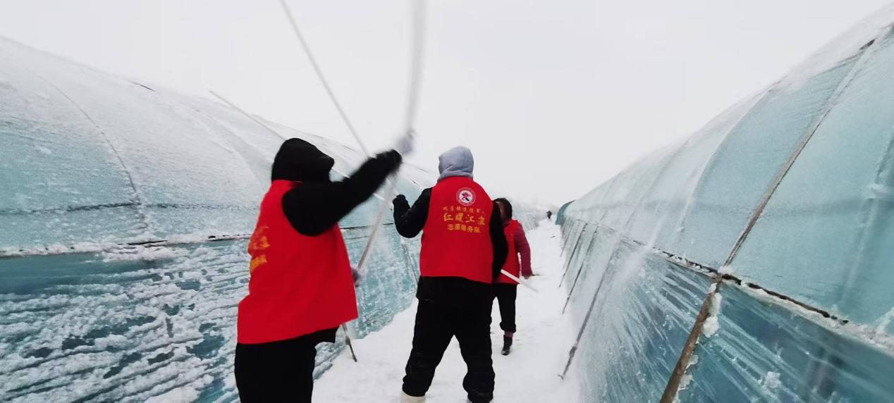 5c4399c7e7317eb13bd85dc16ba011d2