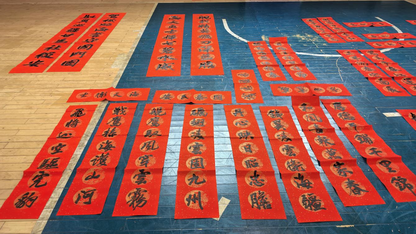 e720987f509dc7e7ecfa2a63e46029d4