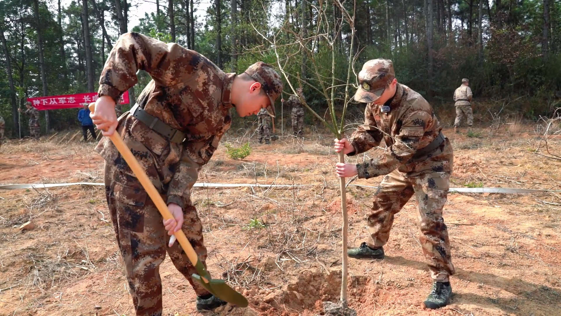 94c68a4c6adc9cae6817c94bd5acd53c