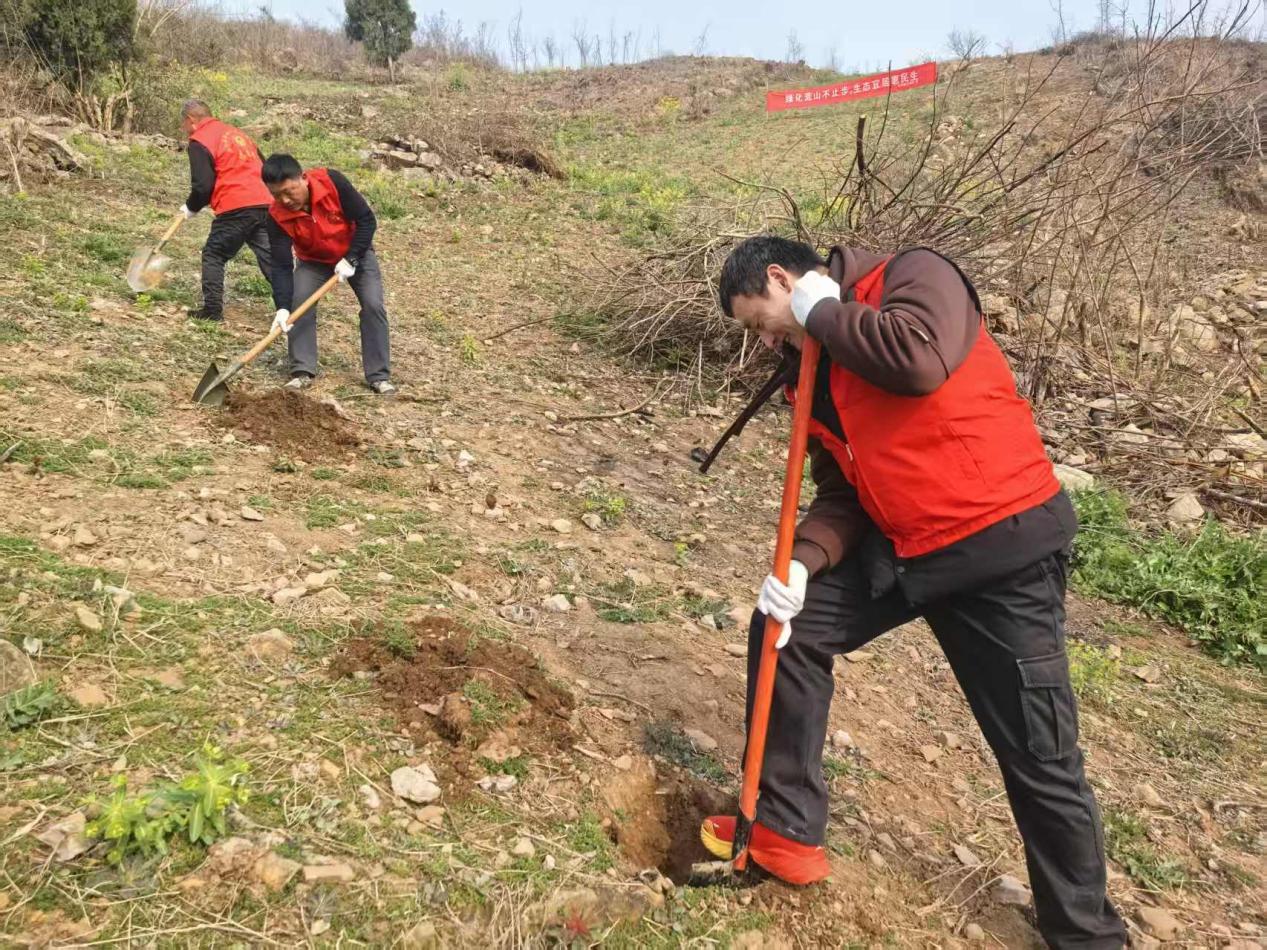 d383a987b5ba373829a3dc84d3f28a2c