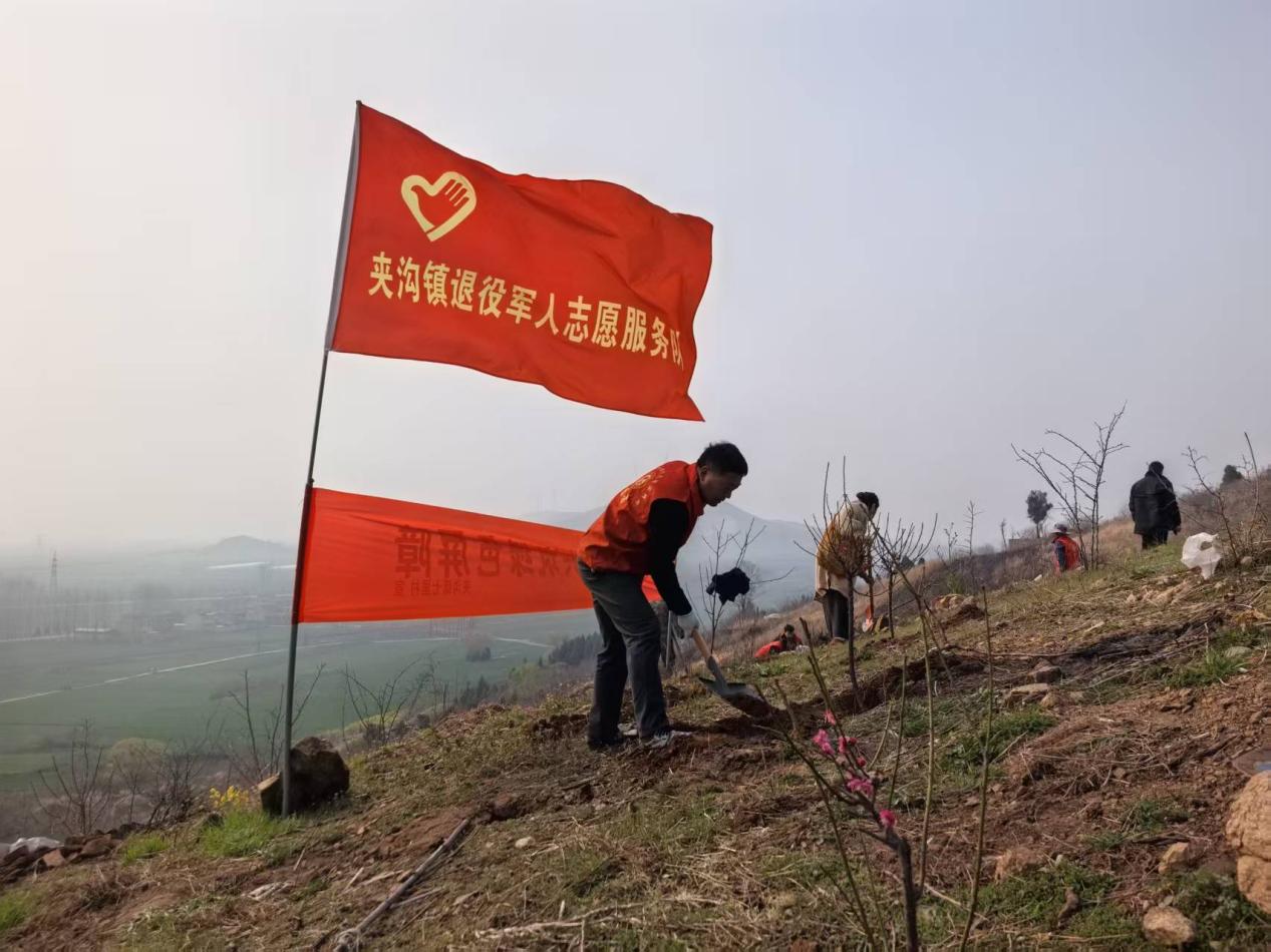 d582287590951c5e50577febcf5225df