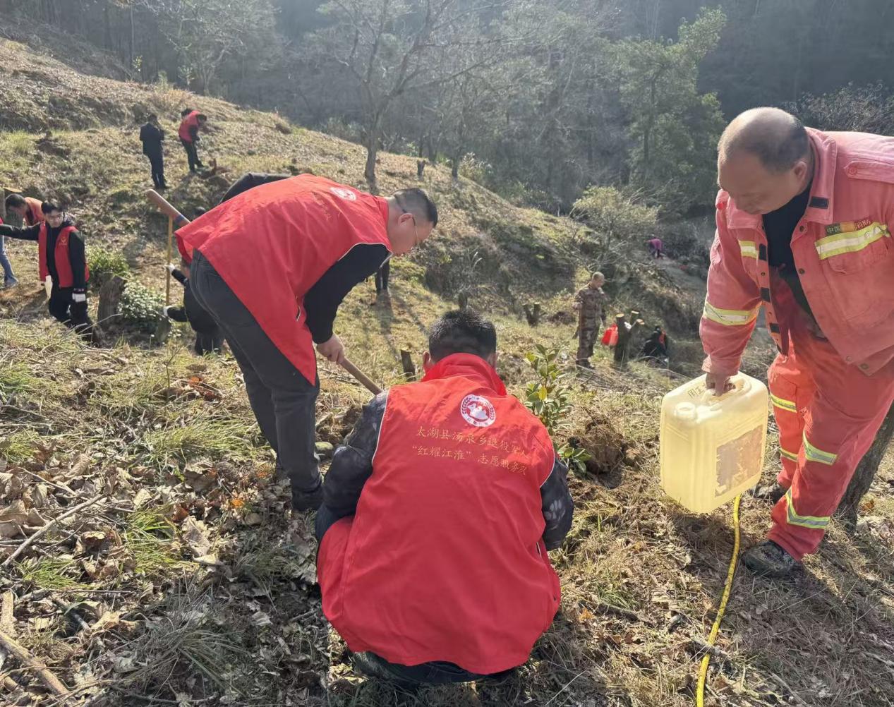 微信图片_20260313145341_294_6