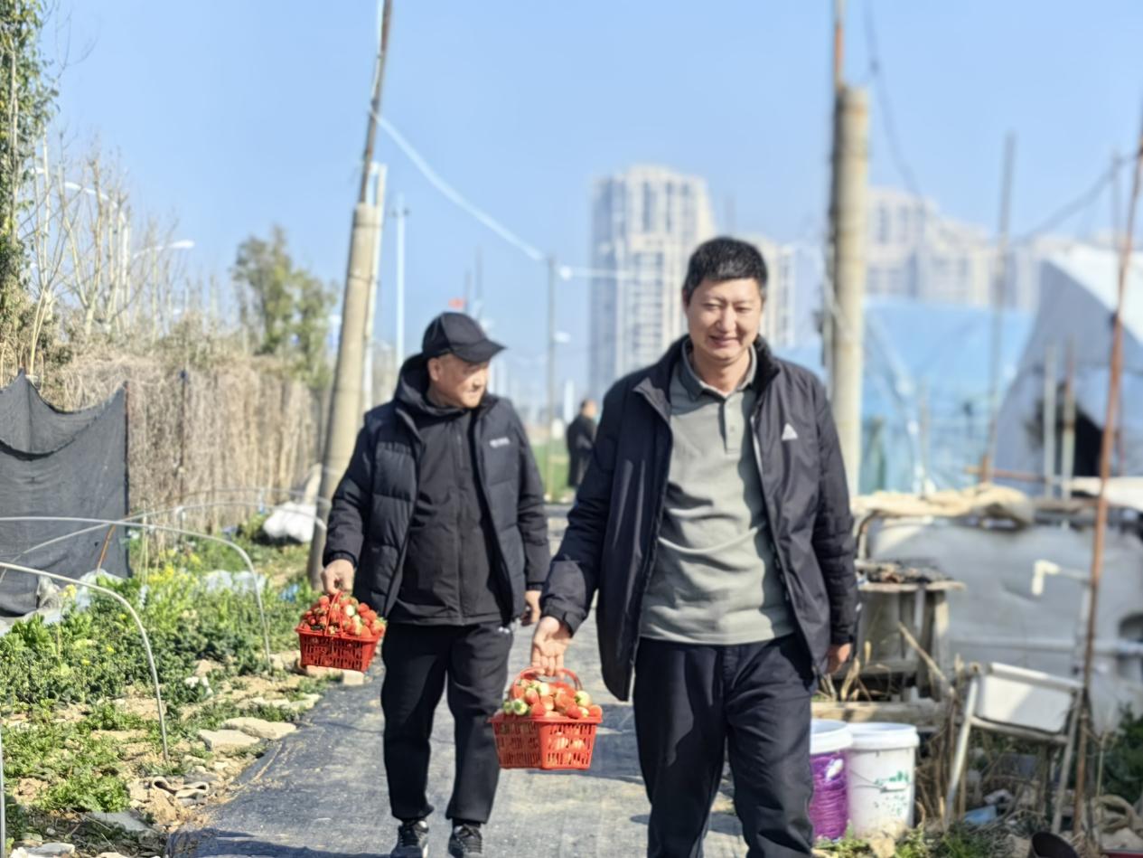 28327970a5683051c8d0ac41bb64ea33